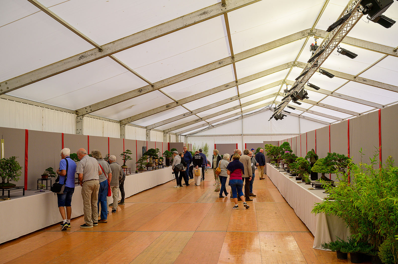 salon national du bonsaï parc oriental 2022