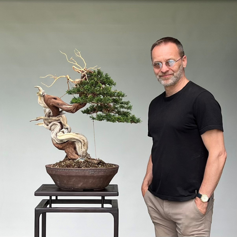 invité d'honneur - bonsai sho